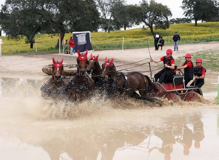 Cadres nationaux d'attelage