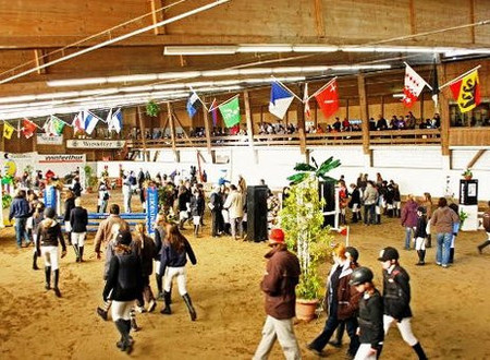 Deux week-end de compétition à Corminboeuf, marché de chevaux à Münsingen/BE