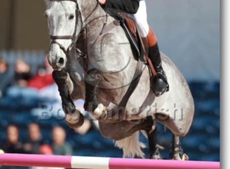 CSIO de La Baule: Nick Skelton triomphe devant Philippe Le Jeune