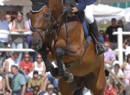Equus Helveticus à Avenches - saut à La Gambade