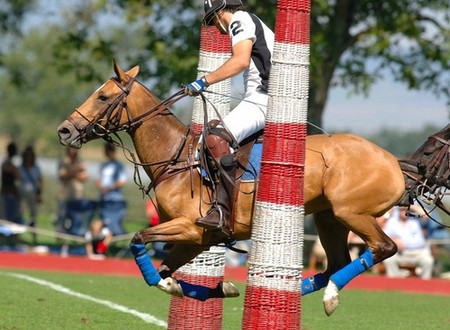 Geneva Polo Masters à Veytay: six équipes pour un trophée
