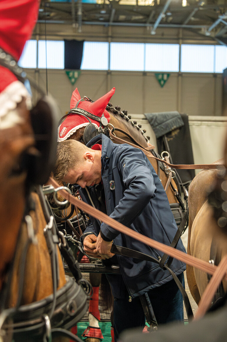 Léo Cordes ajuste l'attelage