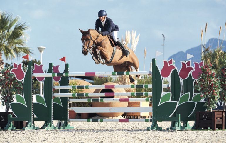 Quinoa des Prés CH a brillé jusqu’en 5* avec Francesco Turturiello, qui a régulièrement donné des nouvelles aux éleveurs. L’alezan est désormais à la retraite chez son cavalier italien. © 1clicphoto.com