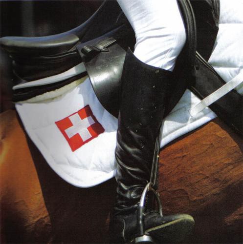 Equipe de Suisse, Prix des Nations, Andy Kistler