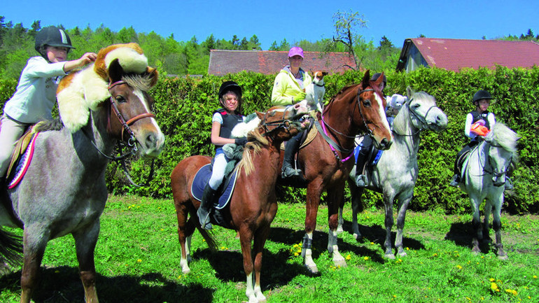 Le 5e Rallye des Œufs, organisé par le Club équestre des Haies, se déroulera ce dimanche 7 avril à Sassel. Ce parcours balisé d’environ 3 heures est ouvert aux cavaliers et atteleurs de tous âges et permet à chacun de découvrir une très belle région durant la balade, tout en participant à des épreuves intellectuelles et manuelles. 