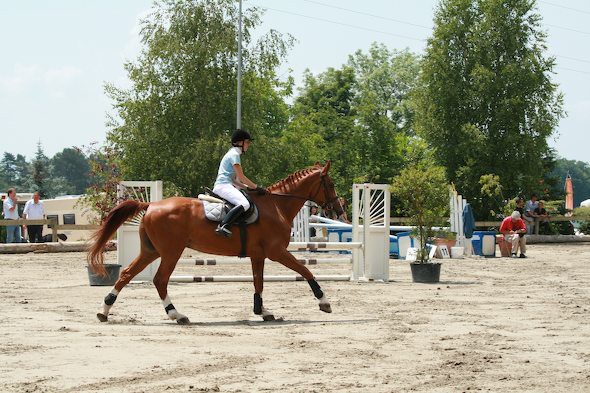 La piste du Cudret est prête pour accueillir les nombreux cavaliers