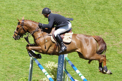 Niall Talbot, Nicos de la Cense, Poliez-Pittet, Fanny Queloz, Didier Fumeaux, Marie Etter