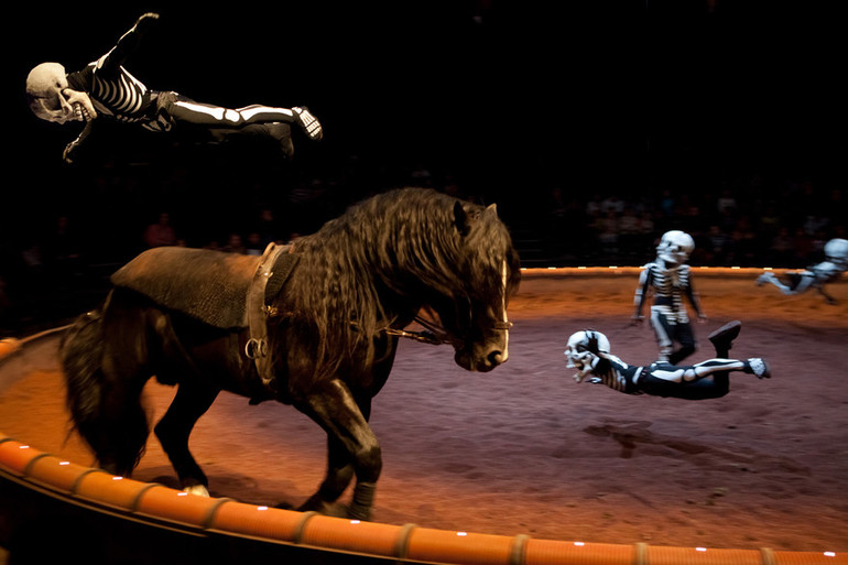 Calacas, la danse des morts vue par Bartabas