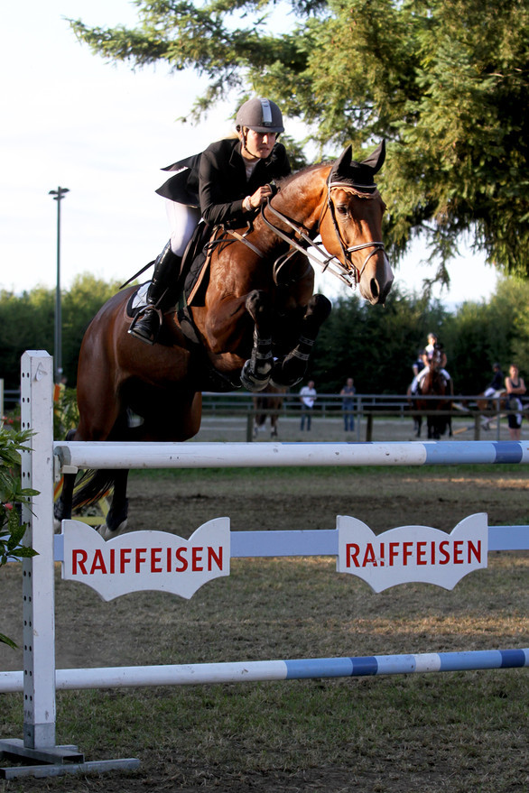 Concours de Payerne 