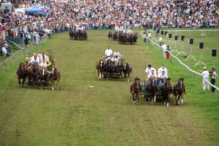 Marché Concours