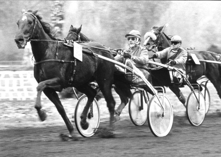 Yvan Pittet avec Mayo dans les années '80