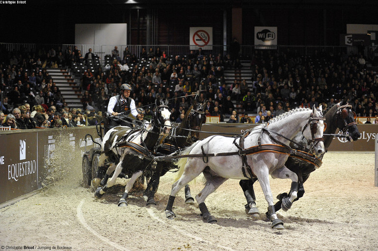 Coupe du monde d'attelage à Bordeaux 