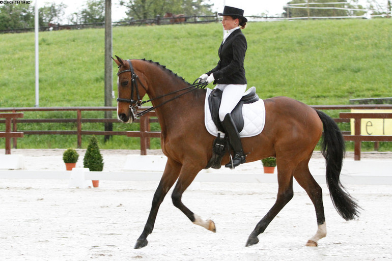 Dressage à La Chaux-de-Fonds au manège Finger