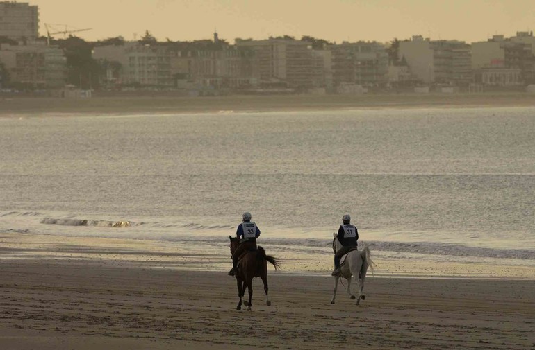 Endurance,morts de chevaux,FSSE,FEI