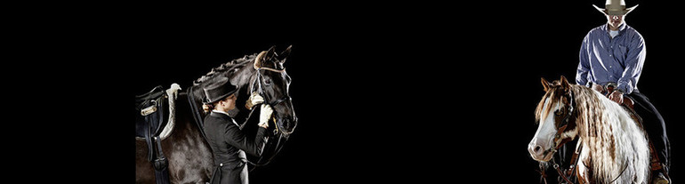 BEA cheval 2014: un rendez-vous riche et varié