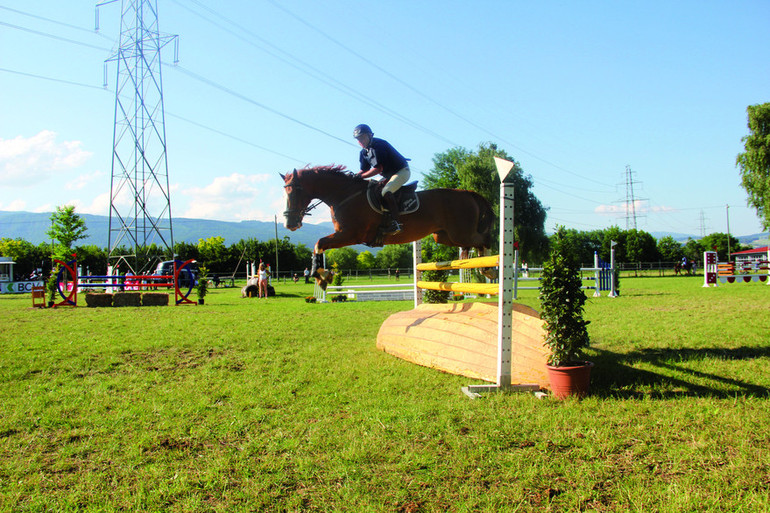 Le magnifique paddock en herbe de Signy et ses obstacles naturels