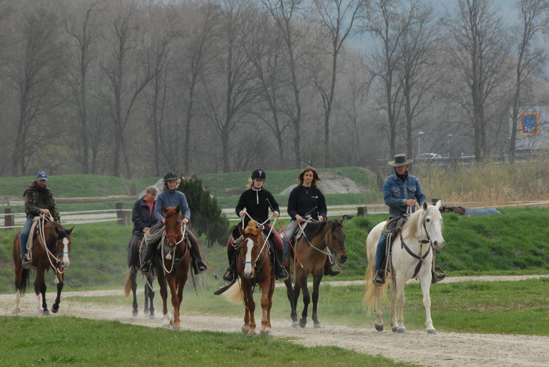 cours Pat Parelli