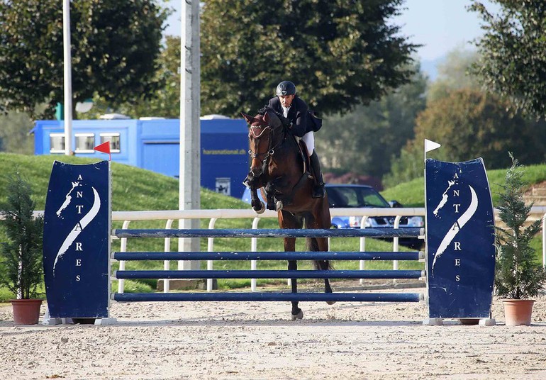 Vente de chevaux de sport CH à Delémont