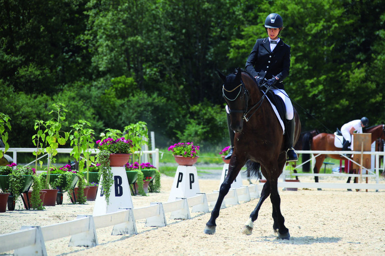 Dressage au Chalet-à-Gobet