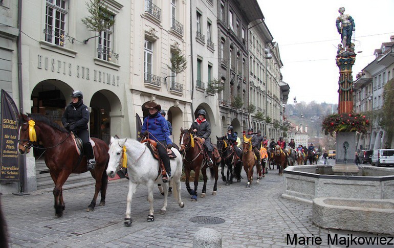 Sauvegardons la filière équine suisse. Le grand rassemblement à Berne