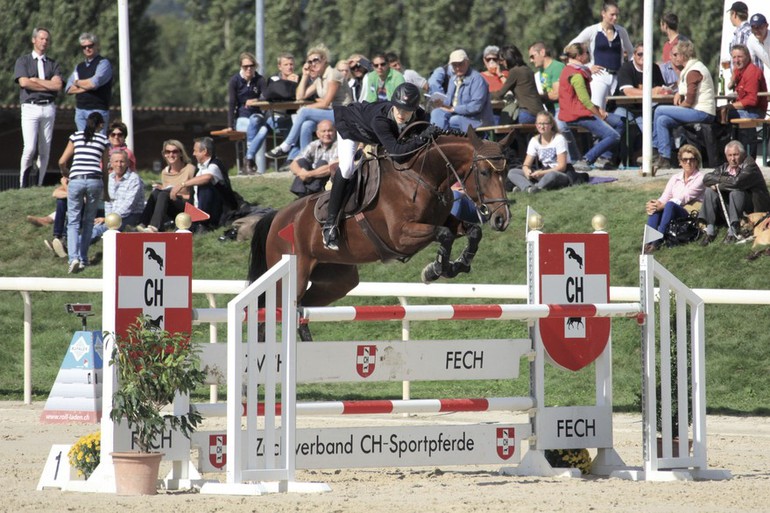 Les chevaux CH à l'honneur ce week-end à Avenches