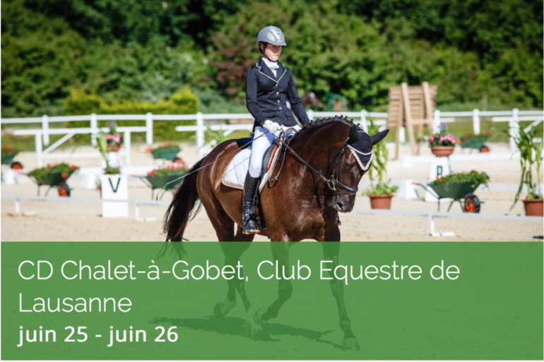 Dressage au Chalet-à-Gobet