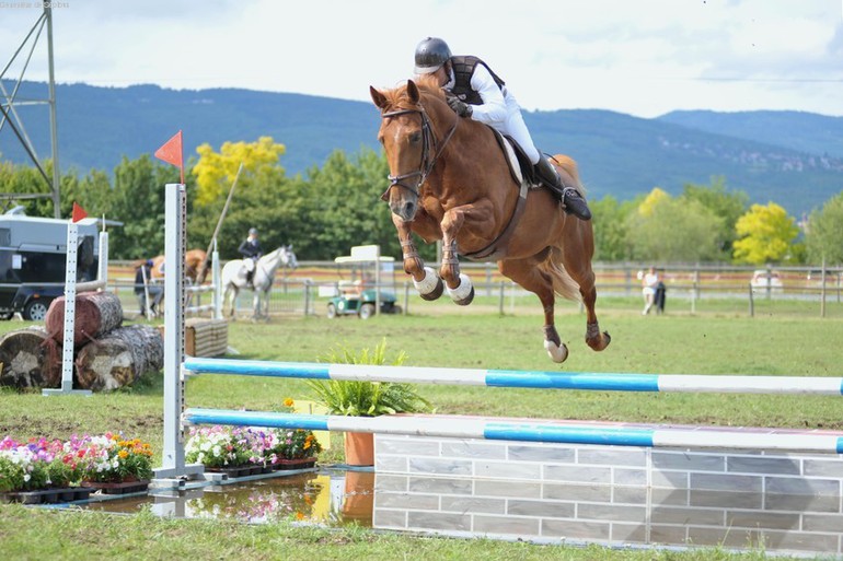 Le beau terrain en herbe de Signy