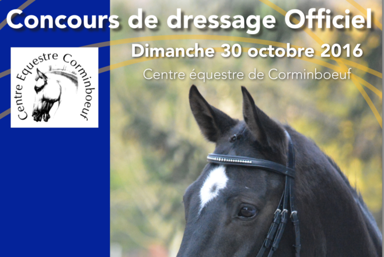 Concours de dressage à Corminboeuf