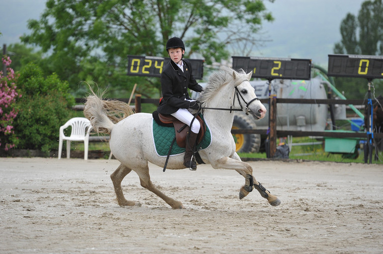 Les poneys à l'honneur ce week-end à La Chaumaz