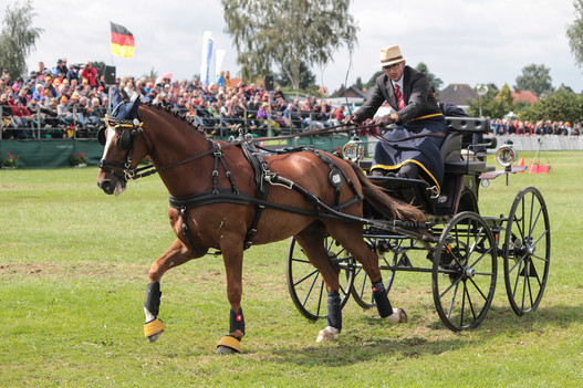 Cédric Scherrer et Donovan's Dusty. /Photo: krisztina@hoefnet.nl