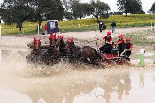 Championnat du monde Attelage à 4 chevaux du 15 au 19 août 2012 à Riesenbeck