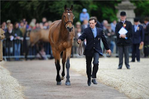 Complet,Nicolas Touzaint,Pippa Funnell