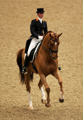 dressage, Adelinde Cornelissen, Estelle Wettstein