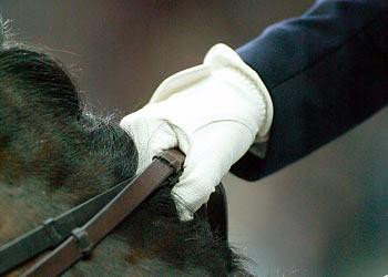 Championnat de Suisse de dressage à Humlikon