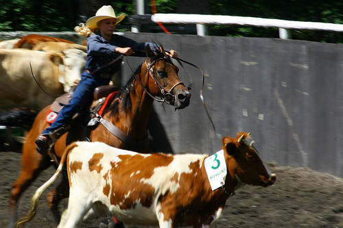 Samedi 24 octobre aura lieu la 4e Swiss Cup de Team Penning dans les installations du Chalet-à-Gobet. Les meilleurs cow boys et cow girls de Suisse s’offriront en spectacle pour le plus grand plaisir d’un public toujours plus nombreux