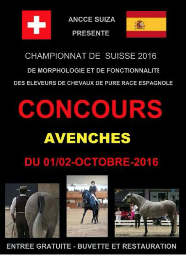 Concours de chevaux Pure Race Espagnole