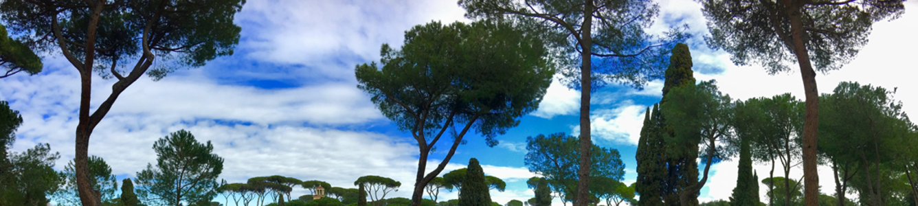 CSIO de Rome,Piazza di Siena,Place de Sienne,herbe