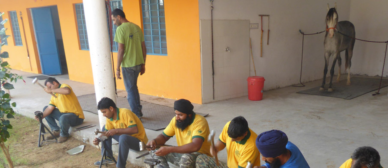 La Flying Anvil Foundation apprend le métier de maréchal ferrant en Inde