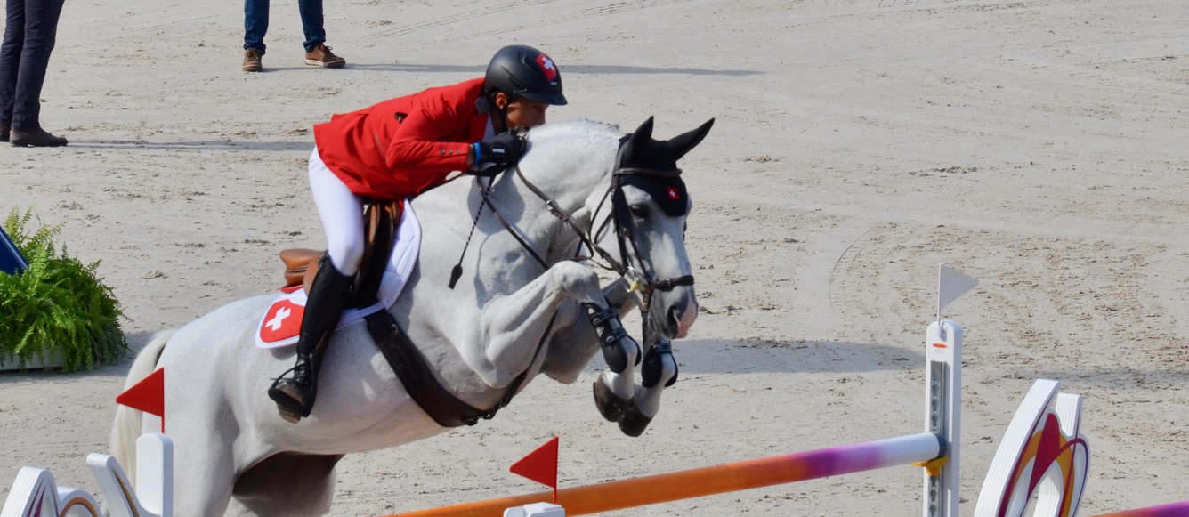 Le comité de la Fédération Suisse des Sports Equestres a finalisé sa Stratégie « FSSE 2030 »