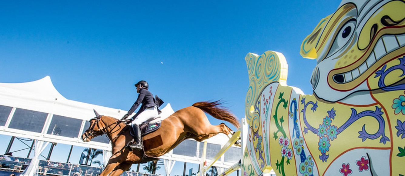Wellington Darragh Kenny Classic Dream