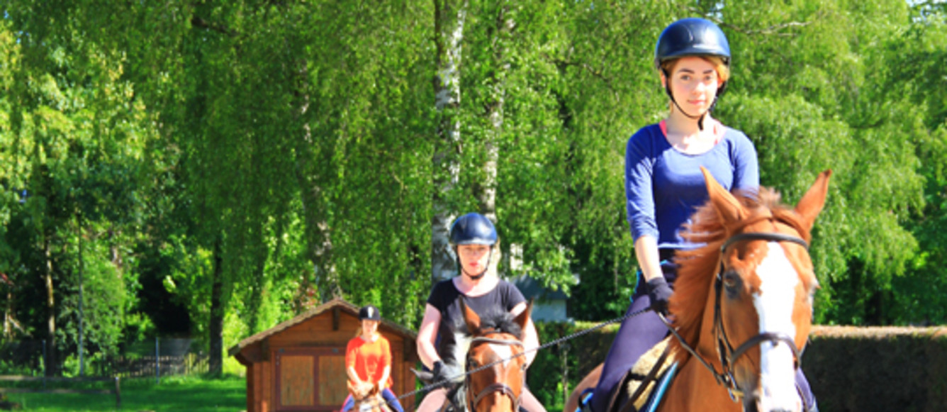 Les écoles d'équitation attendent une aide