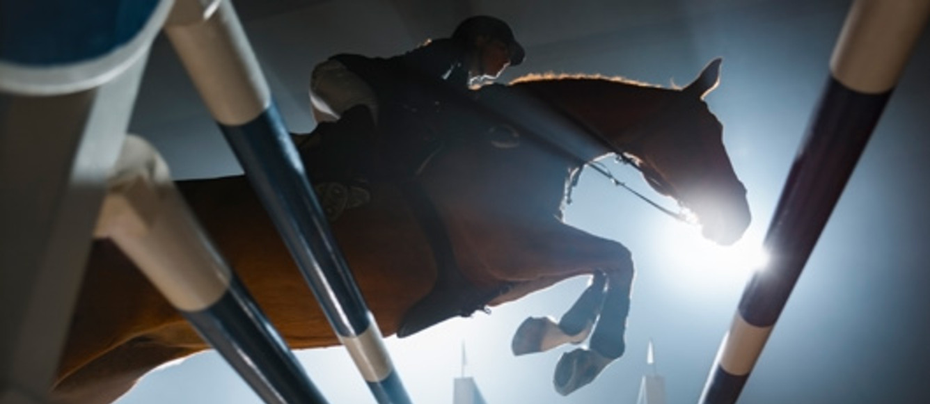 Chestnut horse and female rider jumping over rail in night.