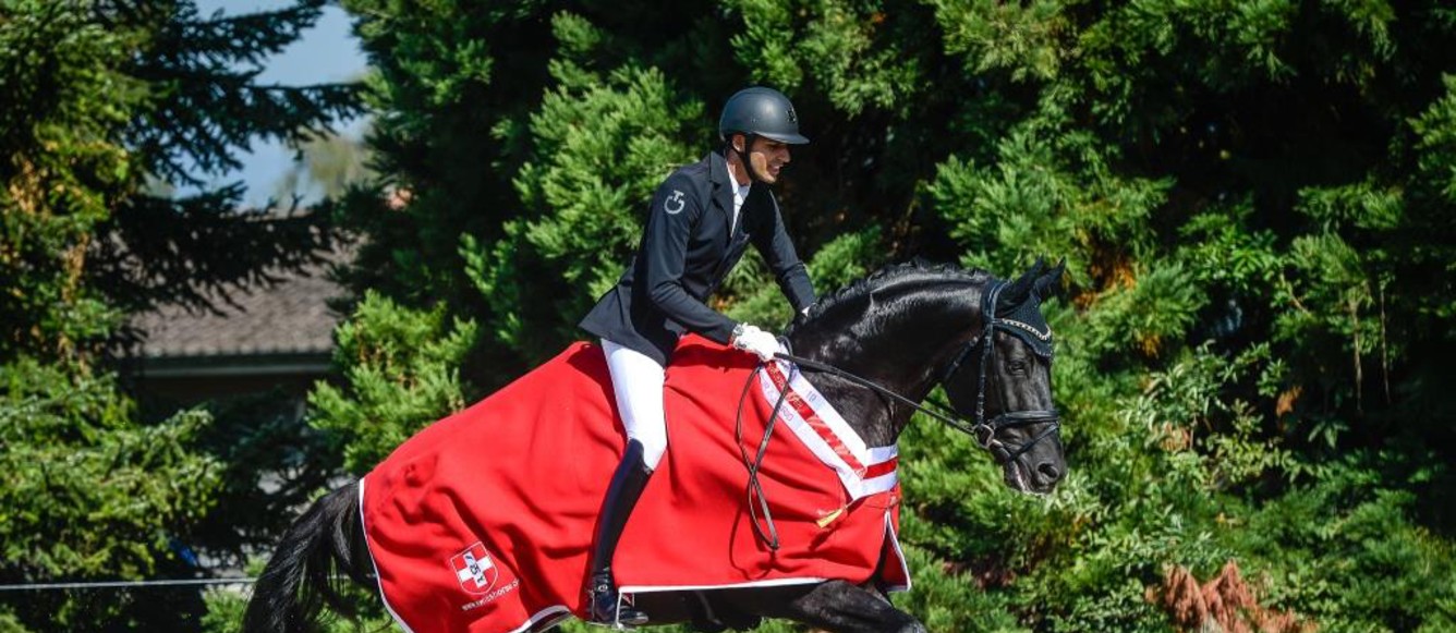 Finale de dressage des chevaux de 4 ans