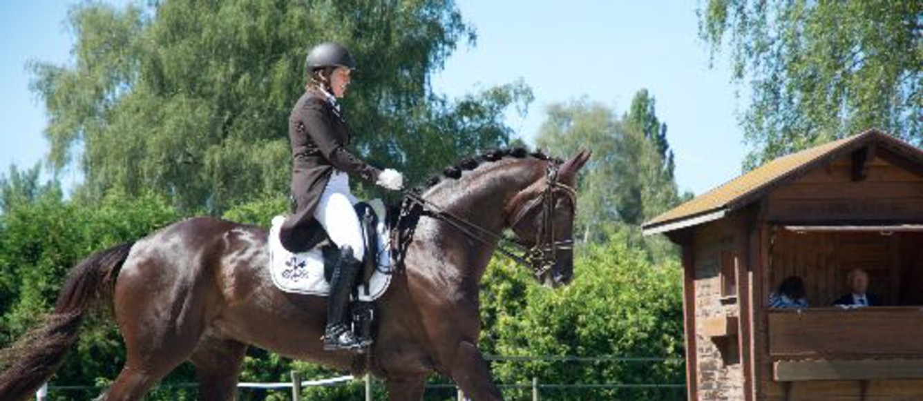 Ramona Schmid avec Kelly Sue lors de l'entraînement d'examen au CEN de Berne. En arrière-plan, l'ancien juge FEI 5* Dr Dieter Schüle | © FSSE