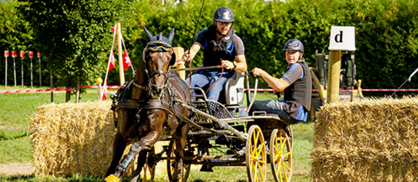 Membre du cadre attelage à un poney 2021: Cédric Scherrer avec Calypso lors des championnats de Suisse 2020. © Brigitte Gfeller