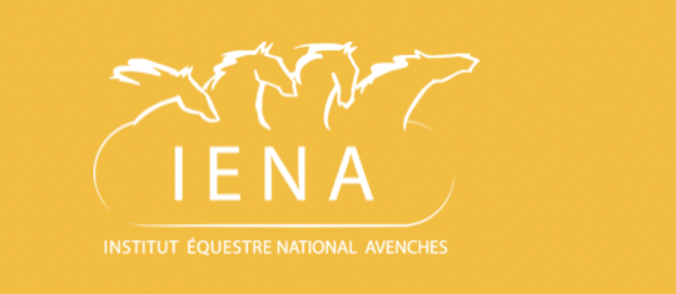 ©IENA
