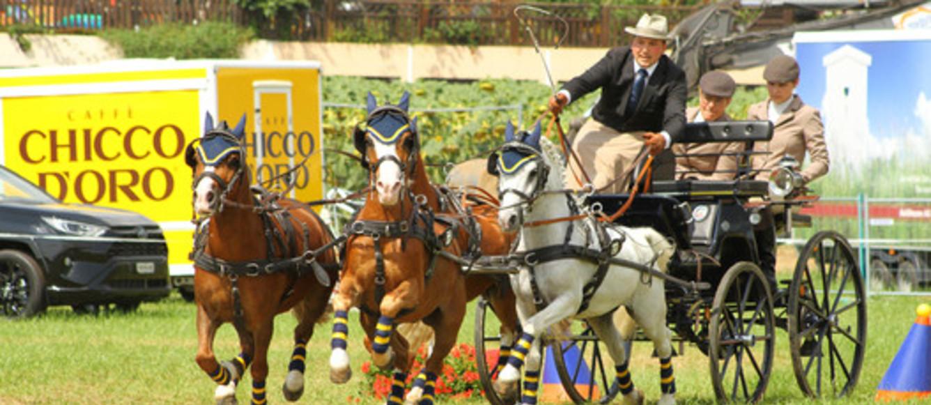 Le champion de Suisse en titre d'attelage à quatre poneys Yannik Scherrer représentera la Suisse aux CdM du Pin au Haras (FRA). © Brigitte Gfeller/FSSE-LDD
