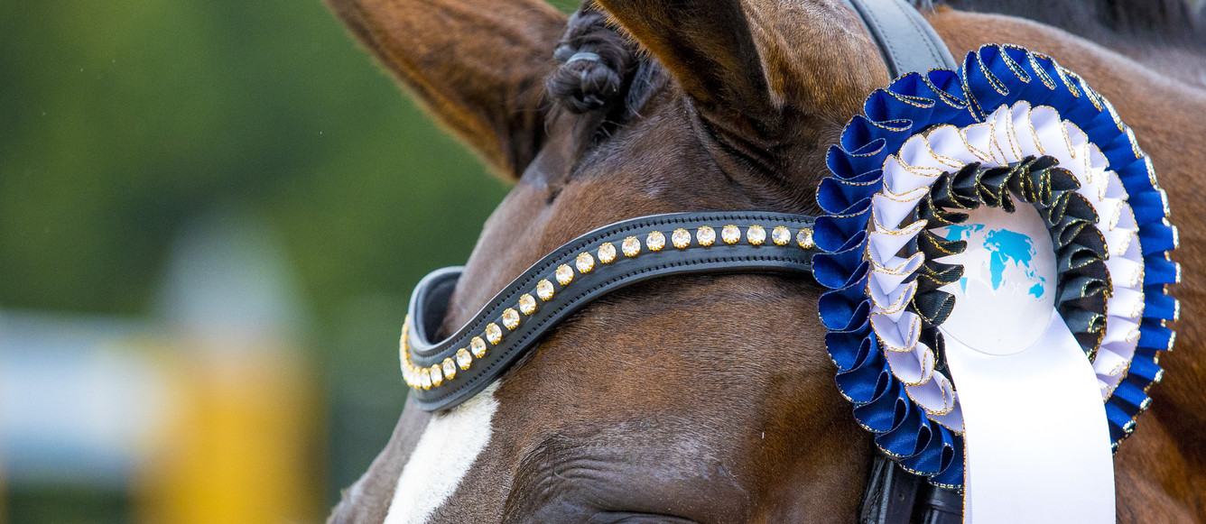 Kirsten Brouwer - Lighting StarFEI World Breeding Dressage Championships for Young Horses 2021© FEI / Leanjo de Koster