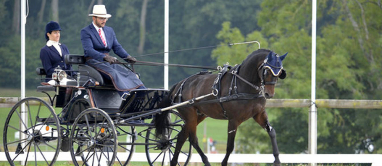Cédric Scherrer, le champion du monde en titre poneys à un ainsi que le chef d'équipe et l'entraîneur du nouveau cadre jeunesse. © Team König