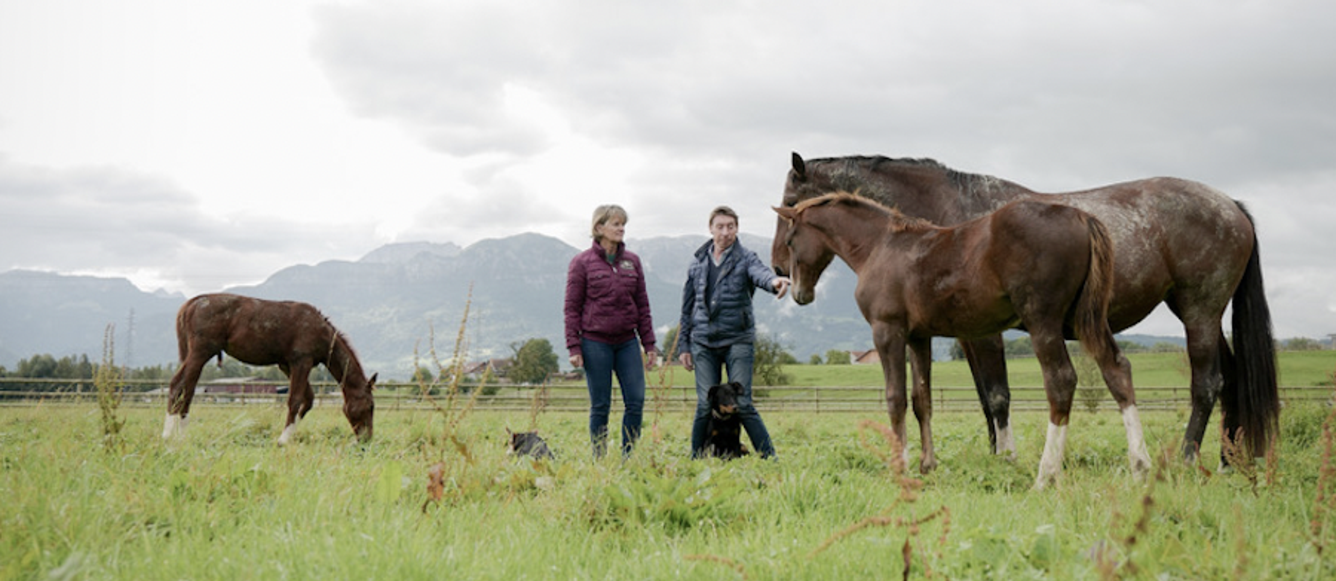 Haras de Bossy © Clément Grandjean 
